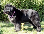 Jun.Champ.�R a SLO Olivie Newton John od Trojsk� sk�ly